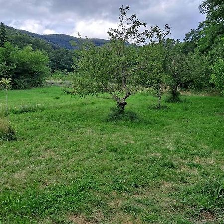 Charmante Roulotte Atypique Jaujac Exteriér fotografie